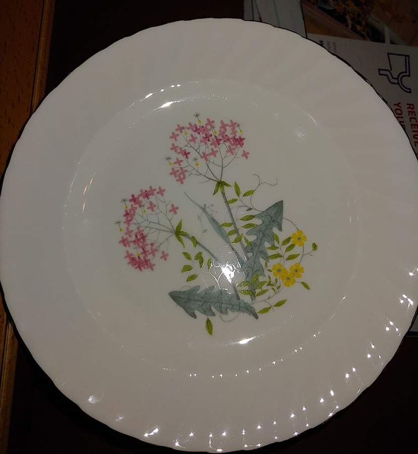 Primrose Salad Plate by Adderley-1