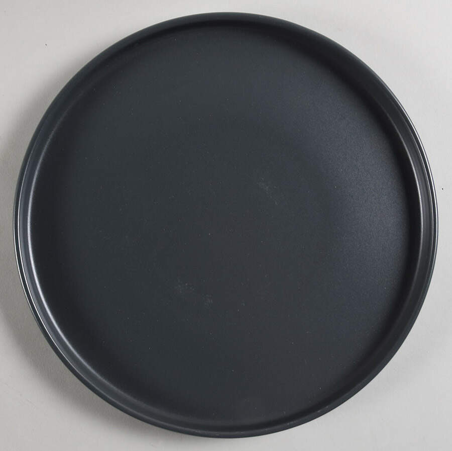Celina (Modern Coupe) Matte Gray Dinner Plate by Stone Lain-1