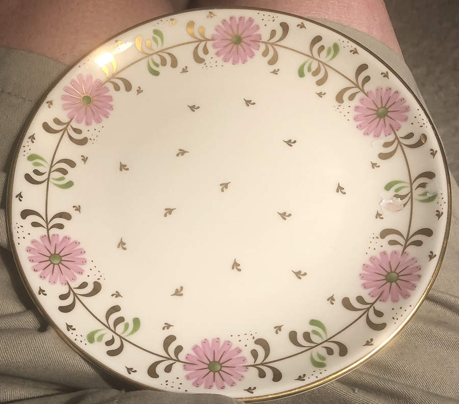 APG18 Dinner Plate by Anthropologie-1