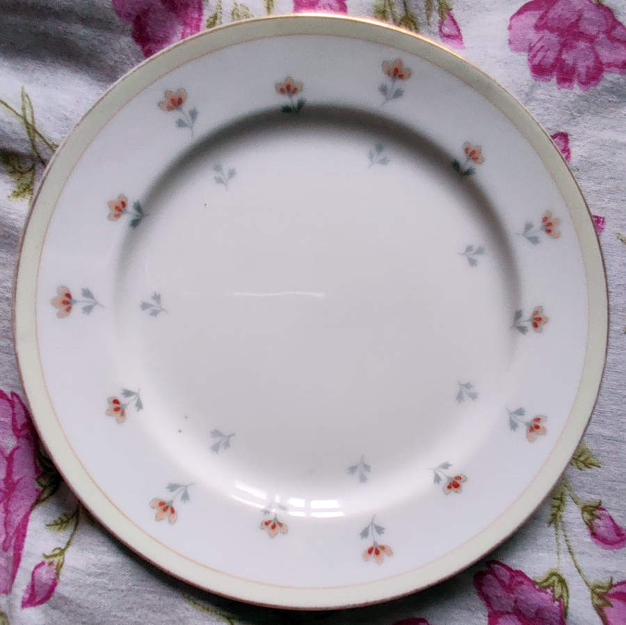 AIC44 Dinner Plate by Aichi-1