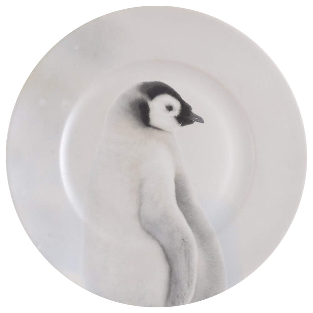 22F5 Dinner Plate by 222 Fifth (PTS)-1