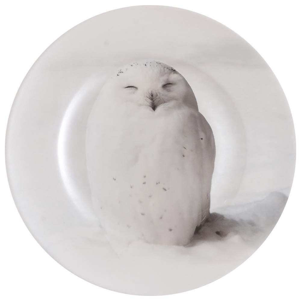 22F5 Dinner Plate by 222 Fifth (PTS)-1