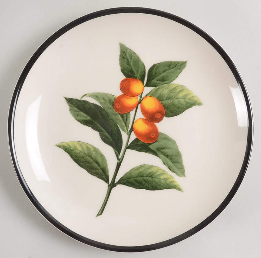 Winter Harvest Salad Plate by 222 Fifth (PTS)-1