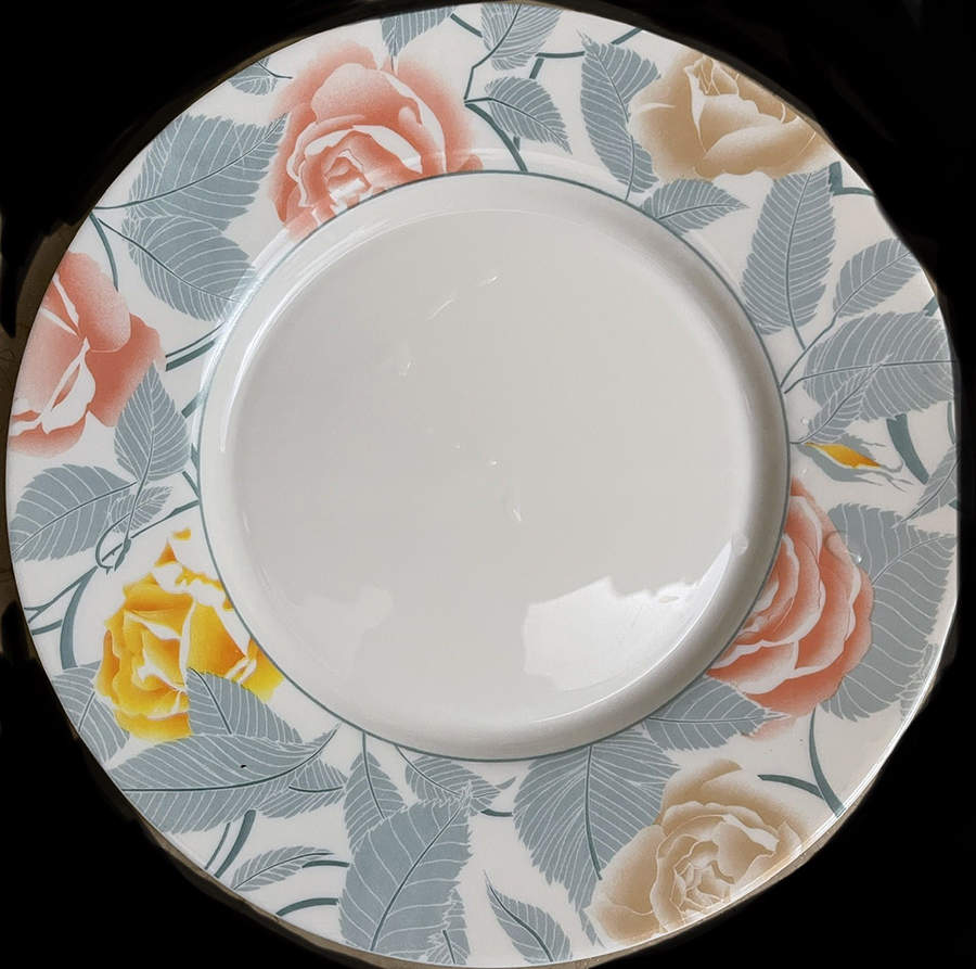 Printimps Dinner Plate by Arcopal-1