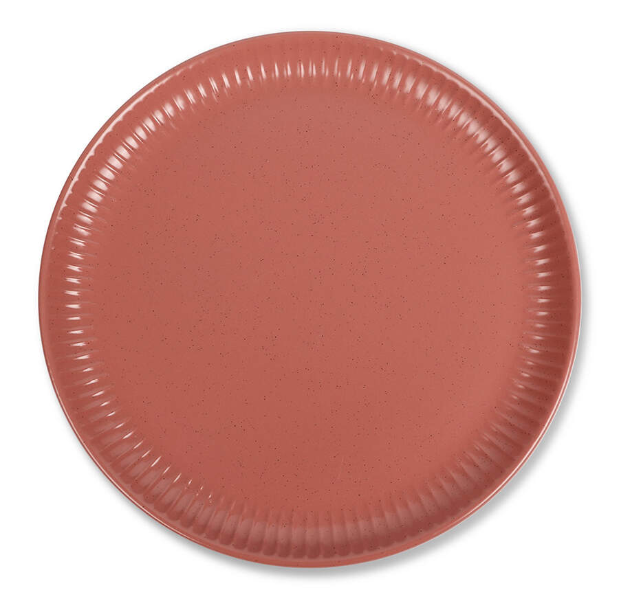 Logan Terra Cotta Dinner Plate by Stone Lain-1