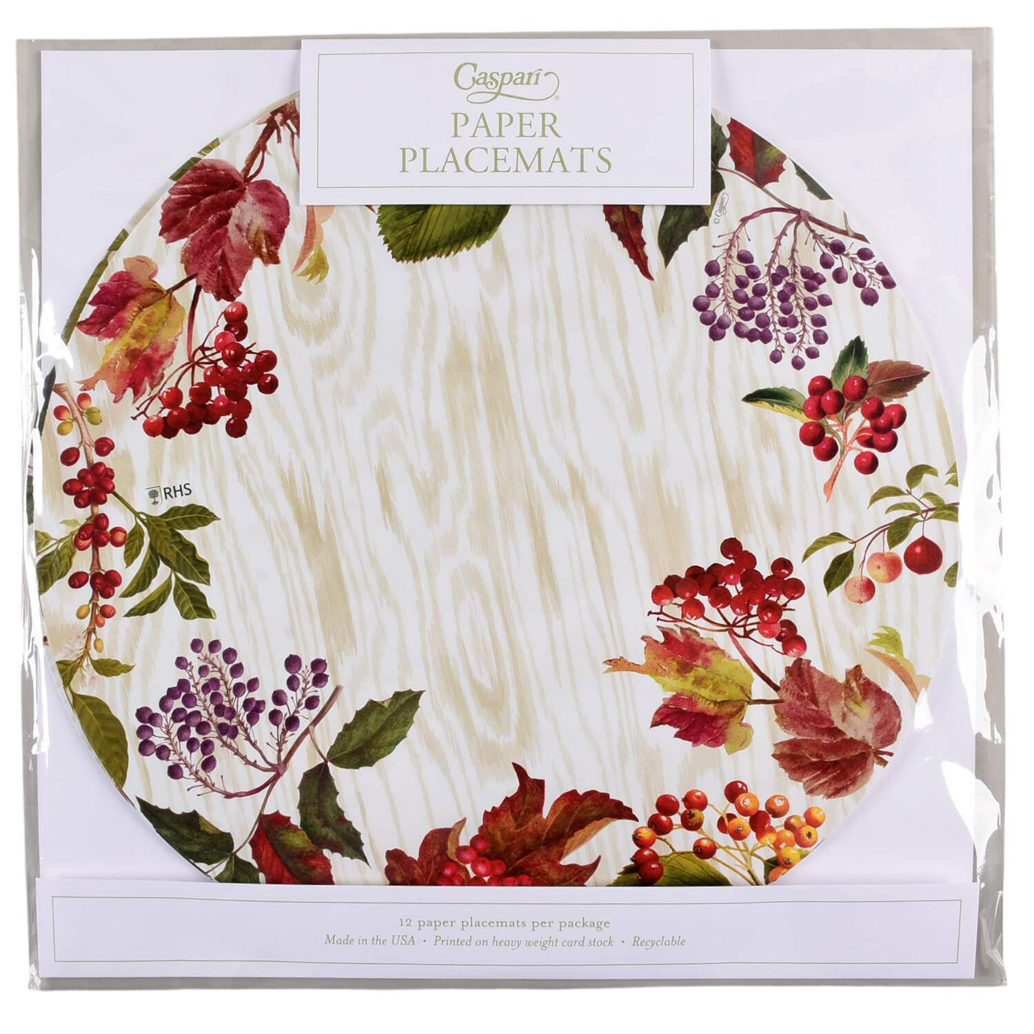 Table Decor Pad of 12  Paper Placemats by Caspari-1