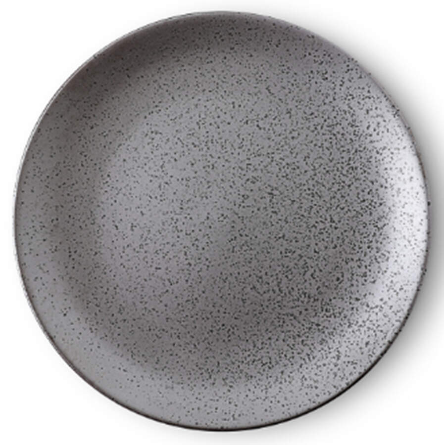 Valencia Grey Dinner Plate by Stone Lain-1