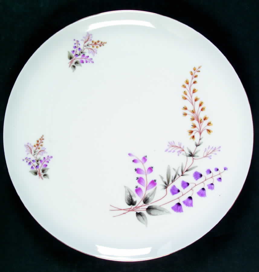1193 Dinner Plate by Baronet-1