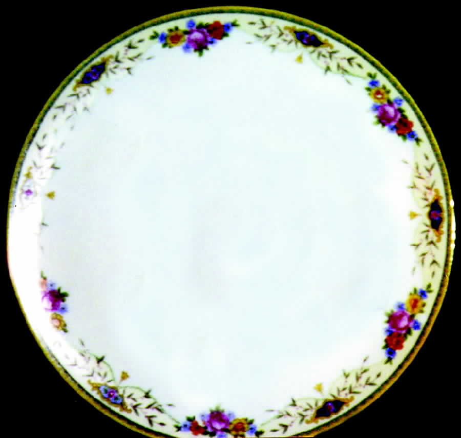 BAR14 Dinner Plate by Baronet-1