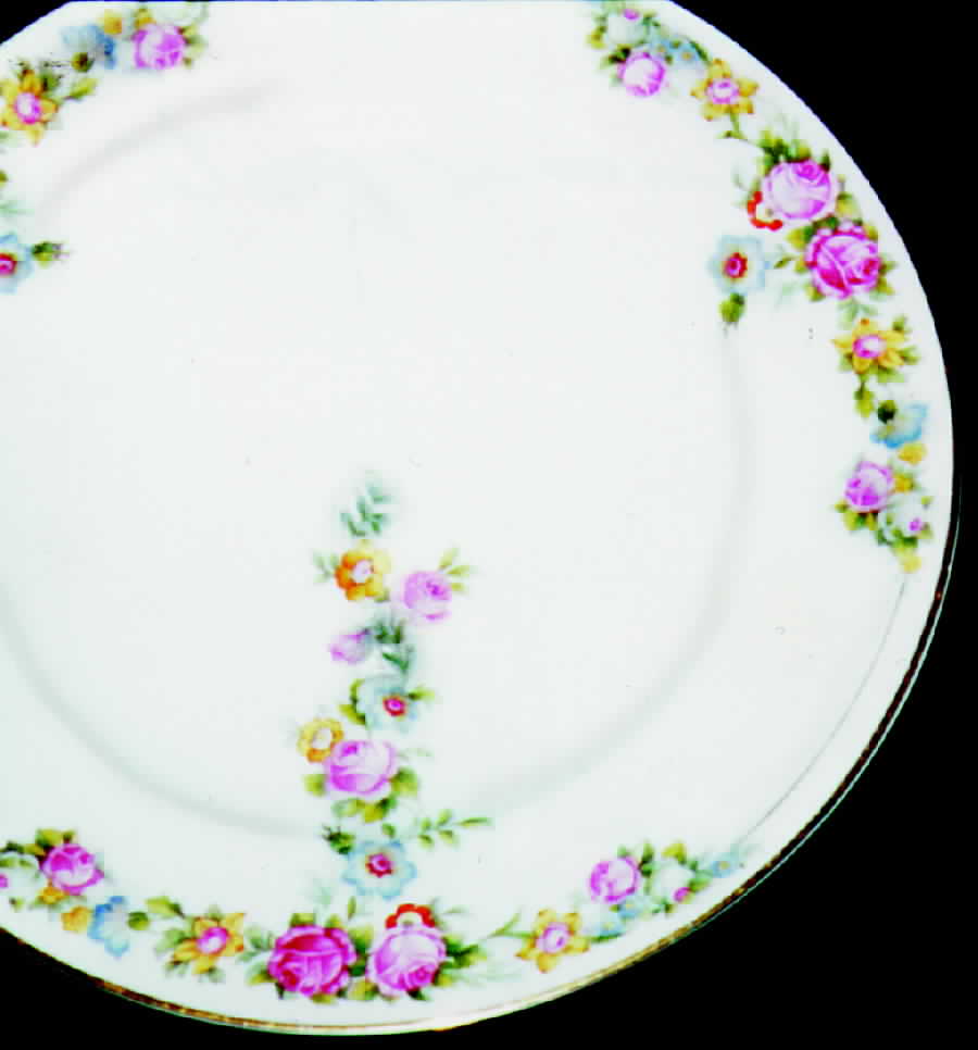 BAR5 Dinner Plate by Baronet-1