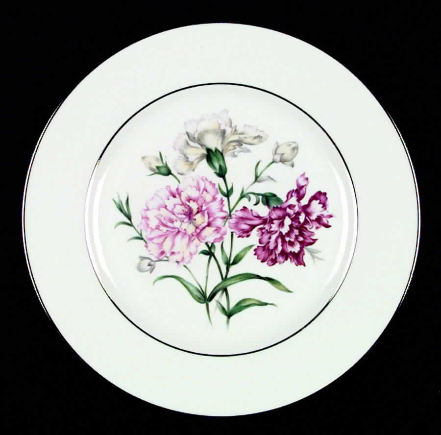 Barbara (Platinum Trim) Dinner Plate by Baronet-1