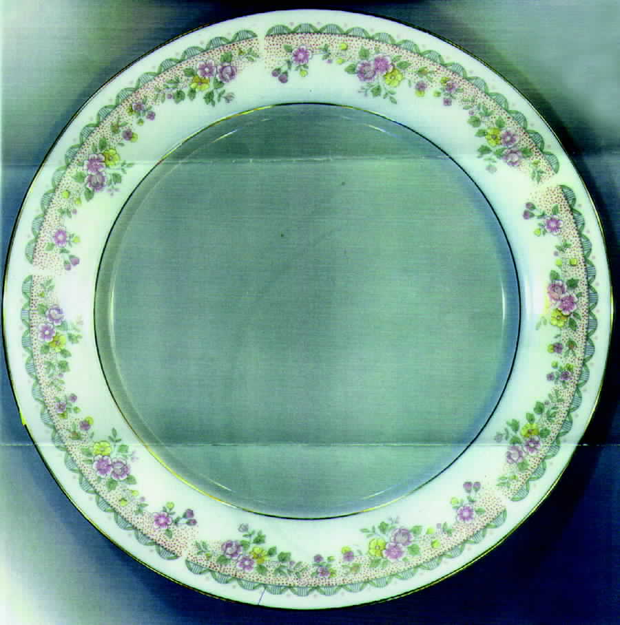 BAU2 Dinner Plate by Baum Brothers-1
