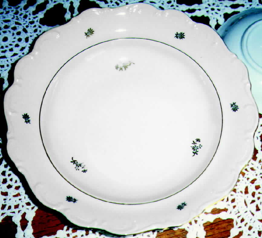 BAV18 Dinner Plate by Bavaria-1