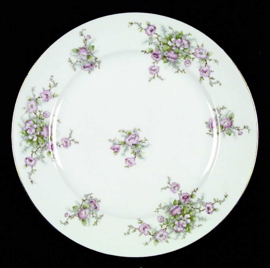 BAV4 Dinner Plate by Bavaria-1