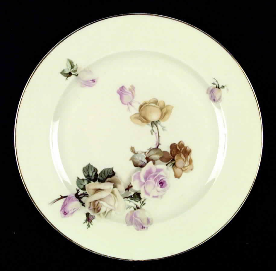 BAV7 Dinner Plate by Bavaria-1