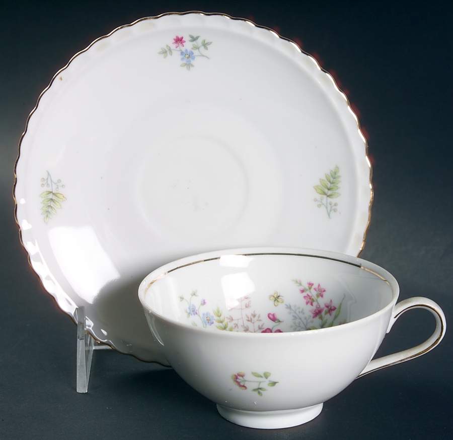 Meadow Flat Cup & Saucer Set by Bavaria-1