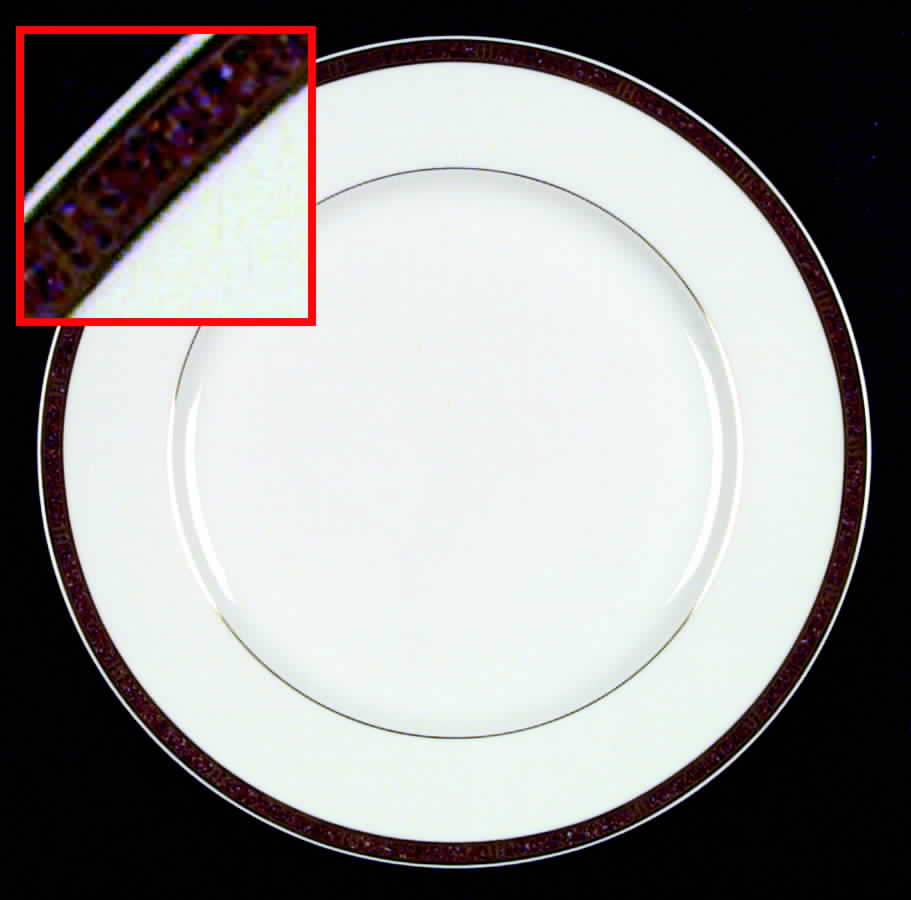 Antinea Coral Dinner Plate by Bernardaud-1