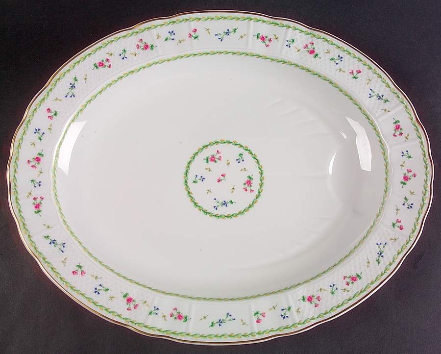 Artois Vert (Versailles Shape) 17" Oval Serving Platter by Bernardaud-1
