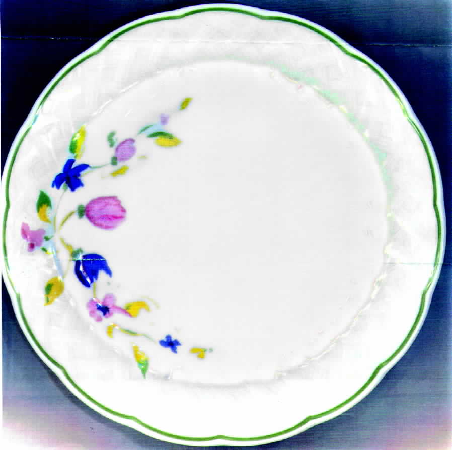 Baumaniere Salad Plate by Bernardaud-1