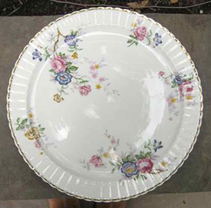 BER107 Dinner Plate by Bernardaud-1