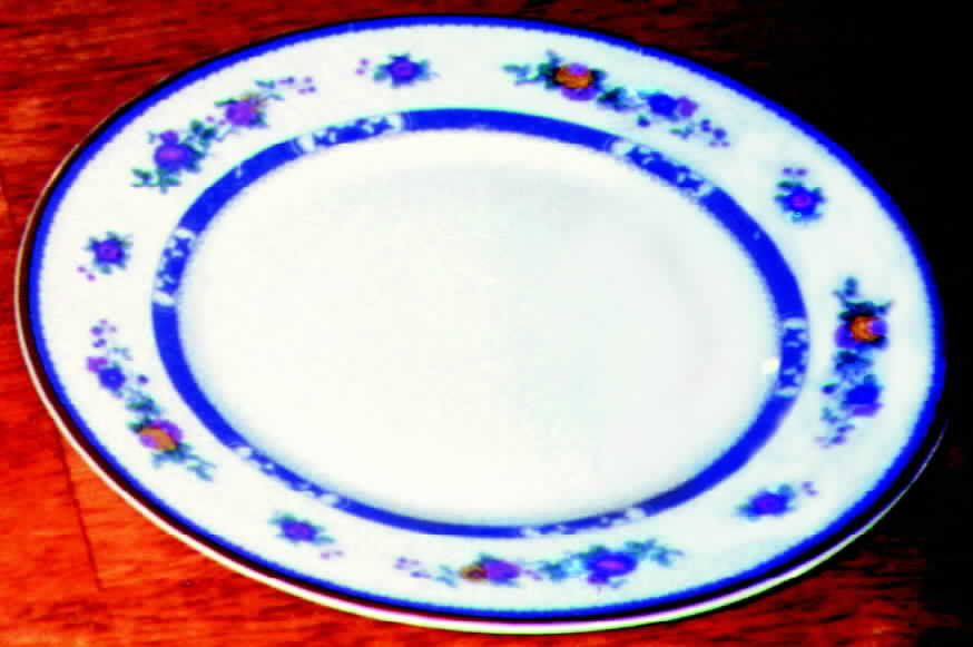 BER111 Dinner Plate by Bernardaud-1