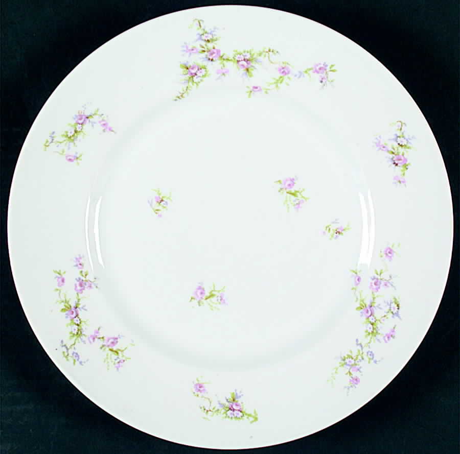 BER114 Dinner Plate by Bernardaud-1