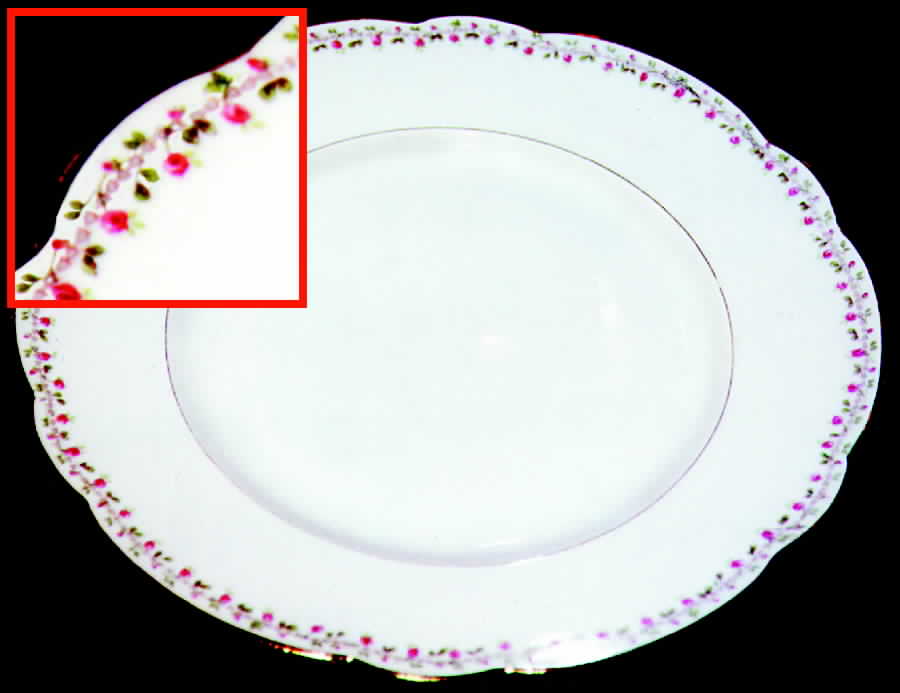 BER119 Dinner Plate by Bernardaud-1