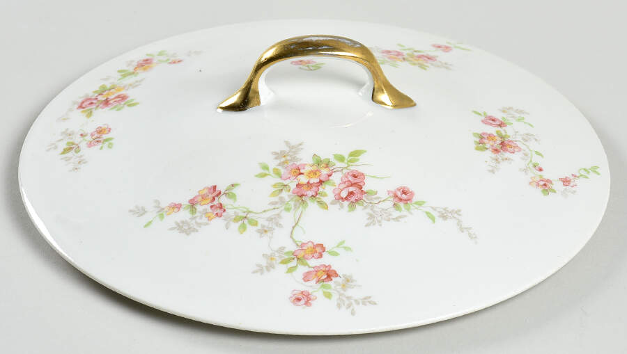 BER130 Lid for Round Vegetable by Bernardaud-1