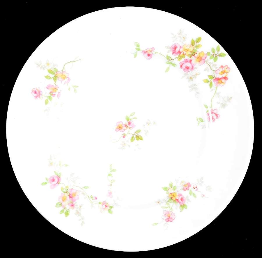 BER130 Luncheon Plate by Bernardaud-1
