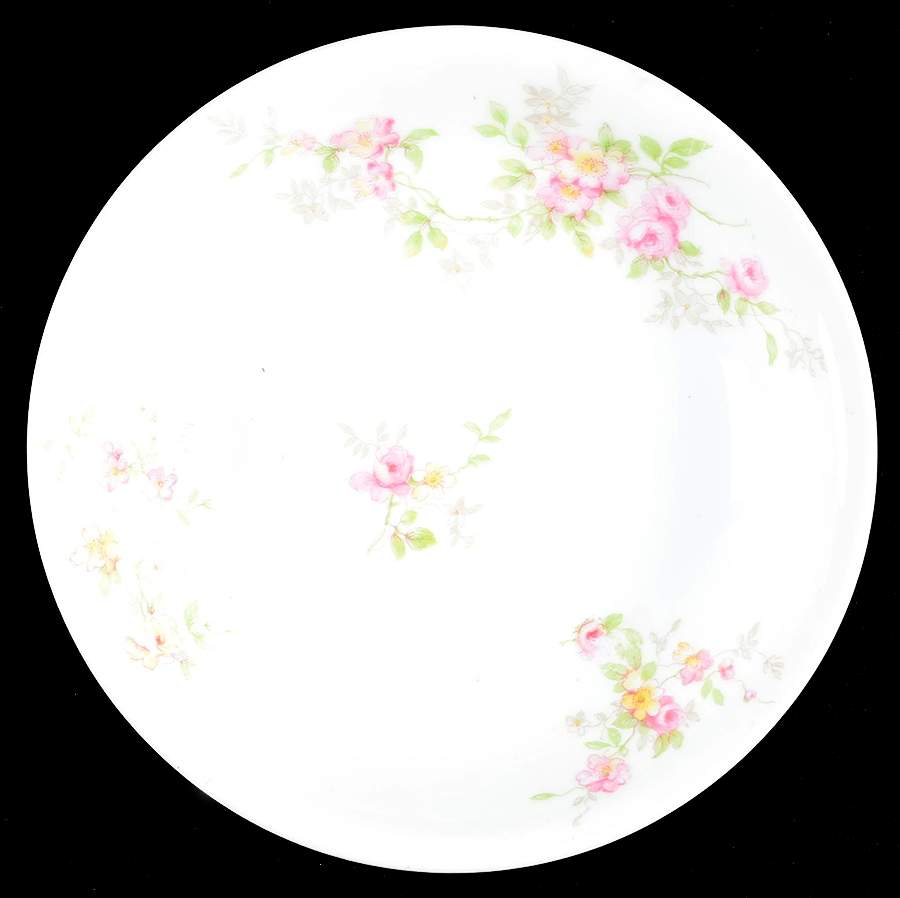 BER130 Bread & Butter Plate by Bernardaud-1