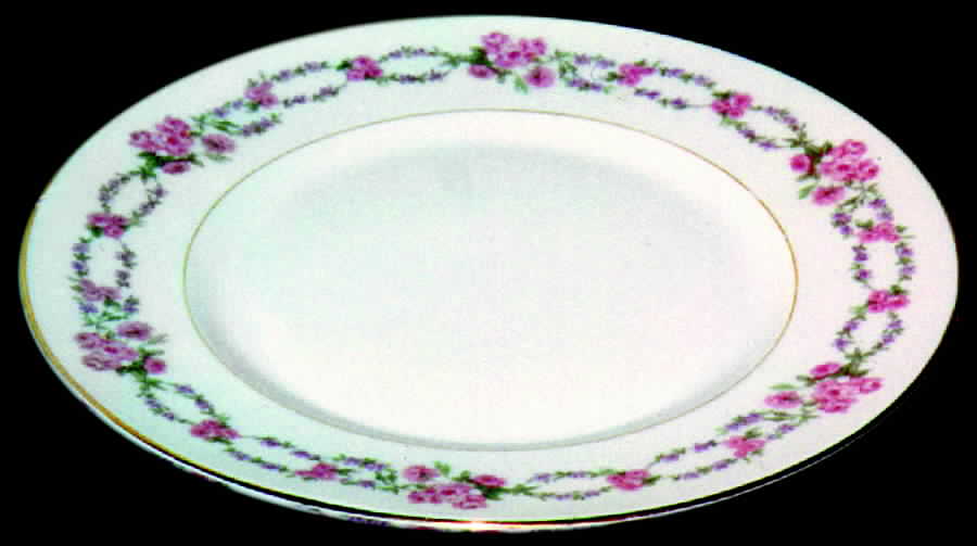 BER131 Dinner Plate by Bernardaud-1