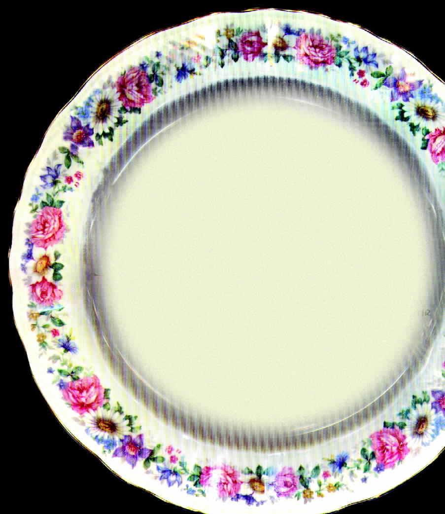 BER136 Dinner Plate by Bernardaud-1