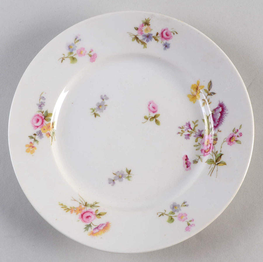 BER3 Bread & Butter Plate by Bernardaud-1