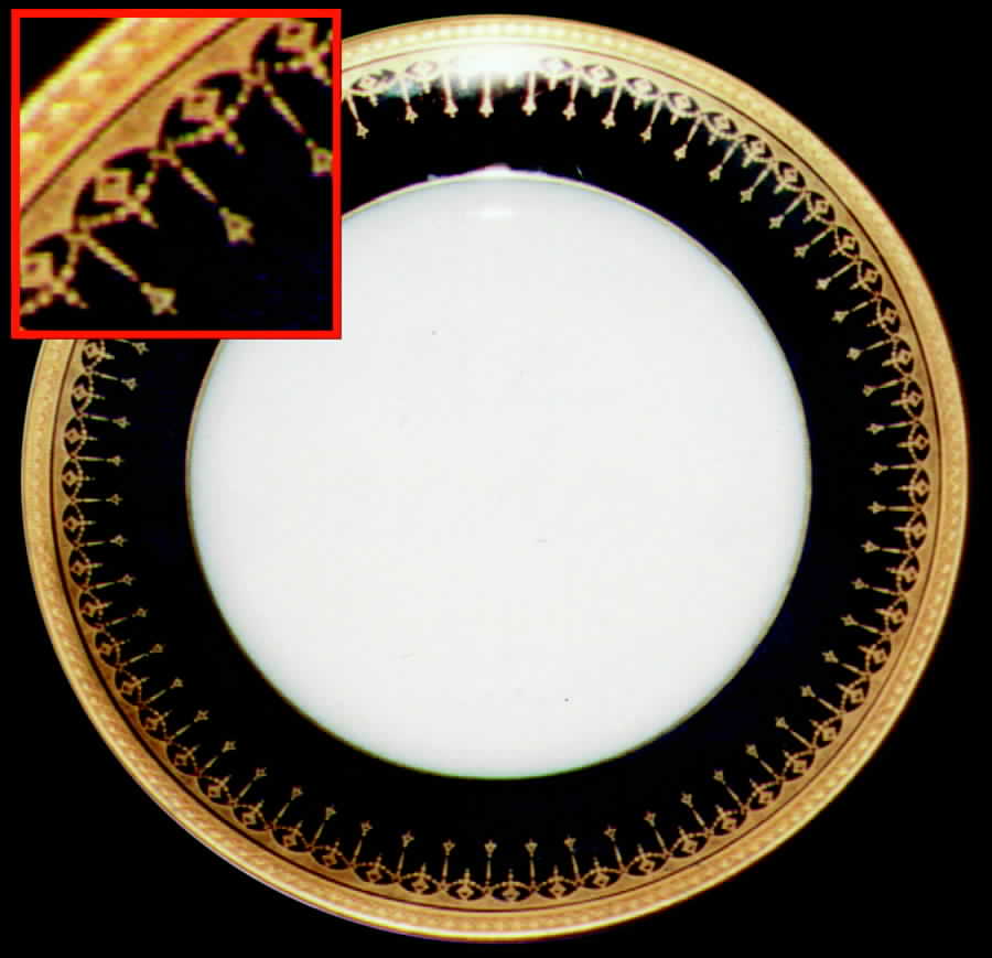 BER34 Dinner Plate by Bernardaud-1