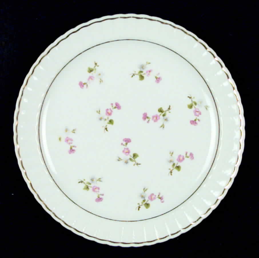 BER47 Salad Plate by Bernardaud-1