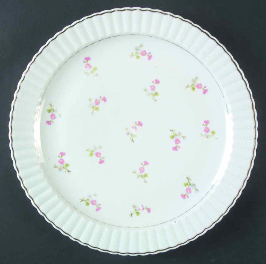 BER47 Dinner Plate by Bernardaud-1