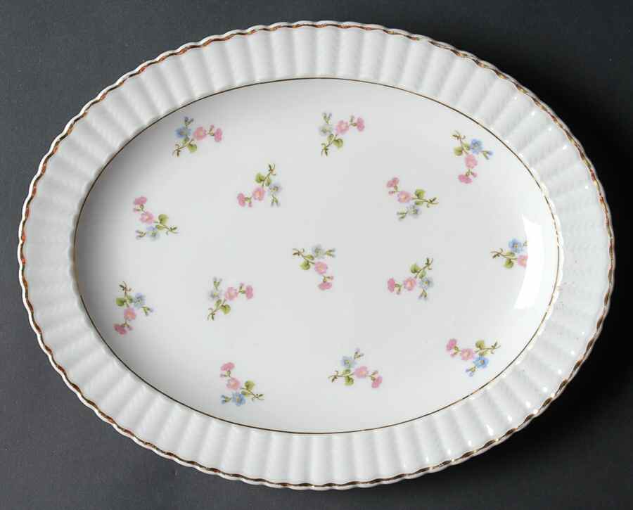 BER47 11" Oval Serving Platter by Bernardaud-1