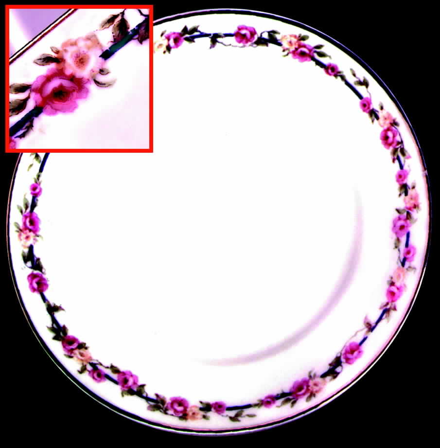 BER73 Dinner Plate by Bernardaud-1
