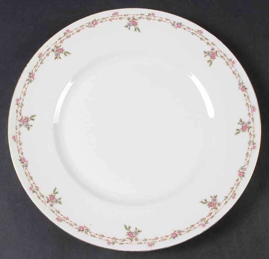 BER74 Dinner Plate by Bernardaud-1