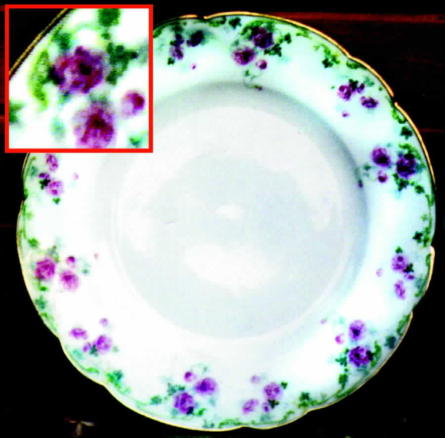 BER89 Dinner Plate by Bernardaud-1