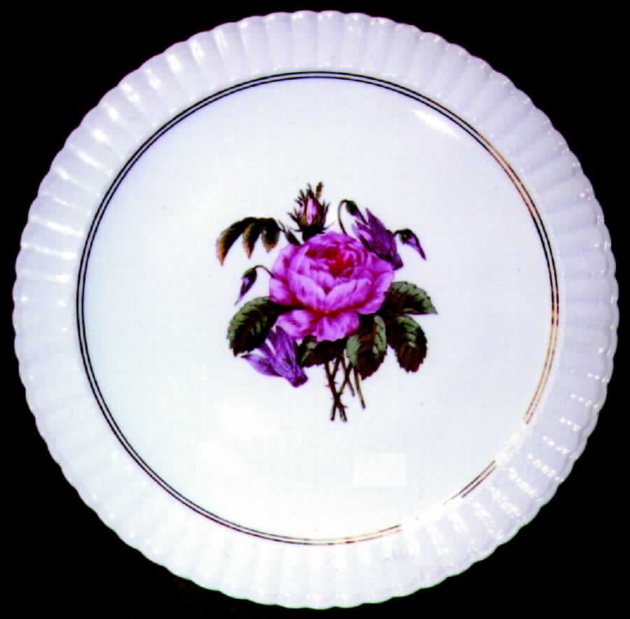 BER92 Dinner Plate by Bernardaud-1