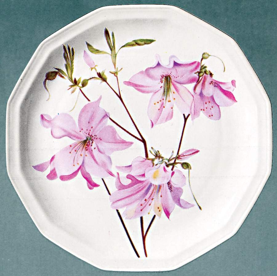 Bocage Salad Plate by Bernardaud-1