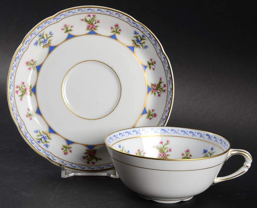 Chateaubriand Blue Footed Cup & Saucer Set by Bernardaud-1