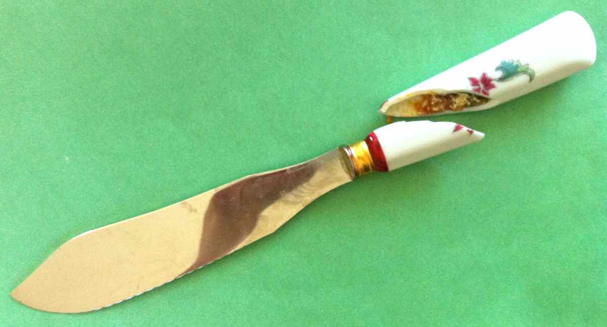 Lhassa Cake Knife/Server with Stainless Blade by Bernardaud-1