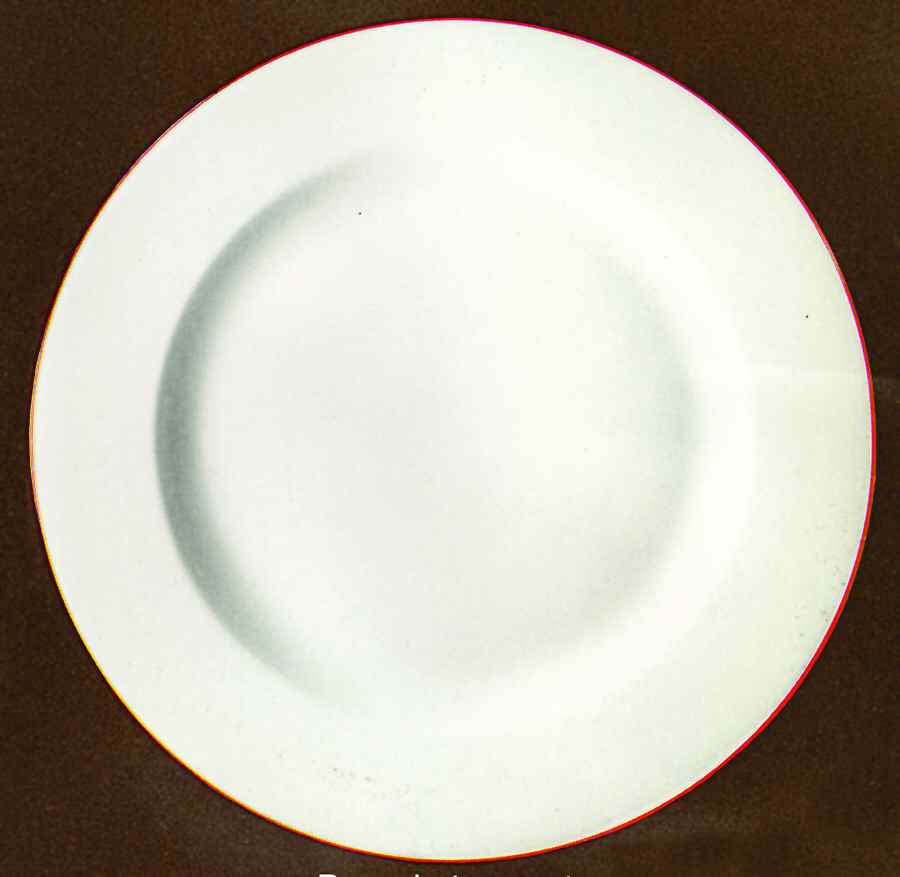 Pamphyle Coral Dinner Plate by Bernardaud-1