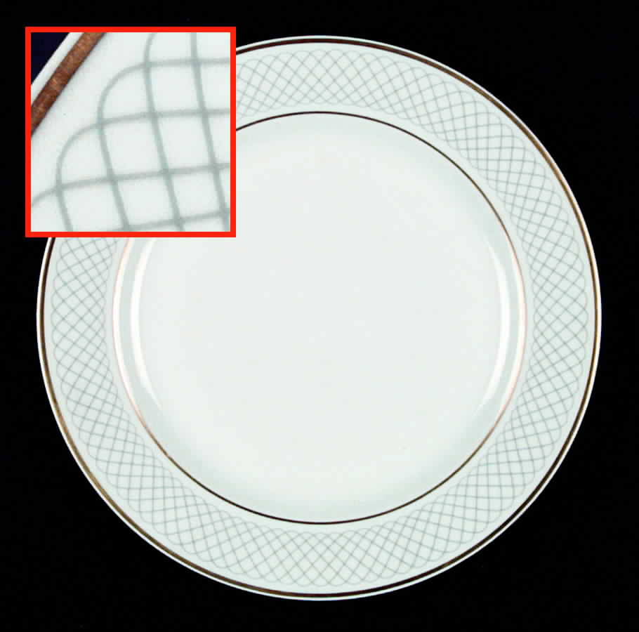 Pavillon Gray Salad Plate by Bernardaud-1