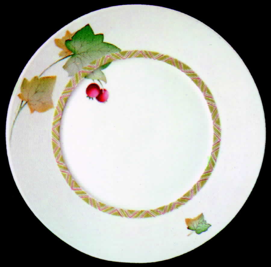 Red Berry Dinner Plate by Bernardaud-1