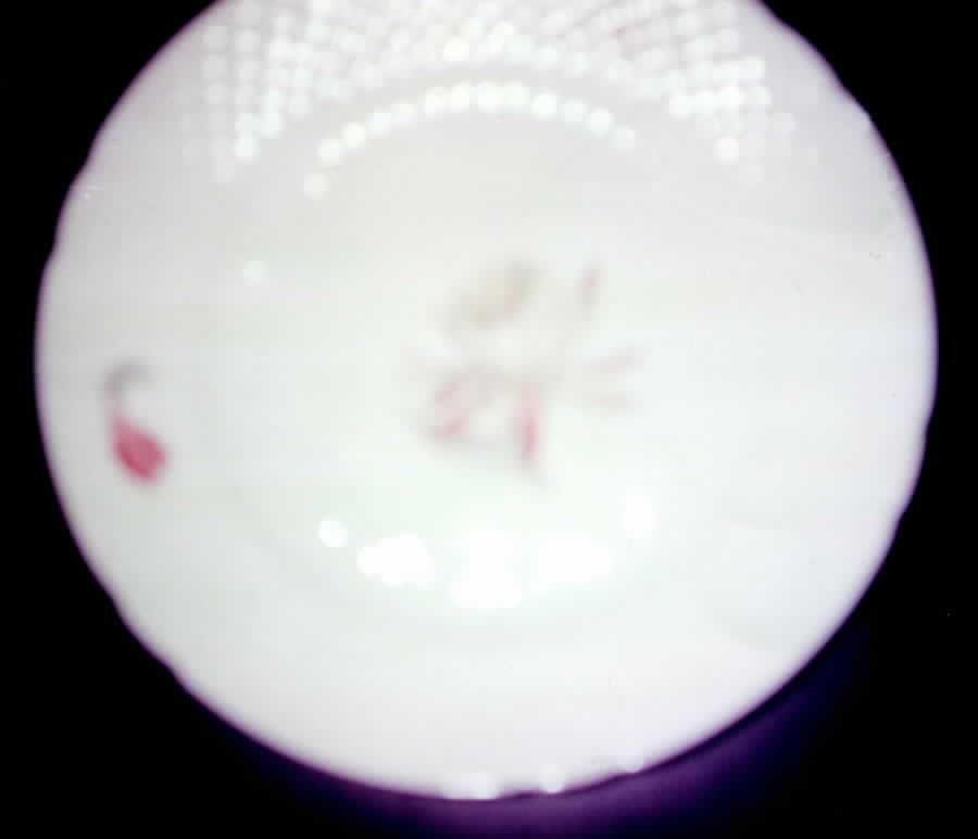 BIG4 Dinner Plate by Bing & Grondahl-1