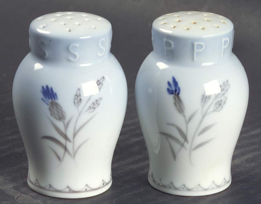 Cornflower Blue Edge Salt & Pepper Set by Bing & Grondahl-1