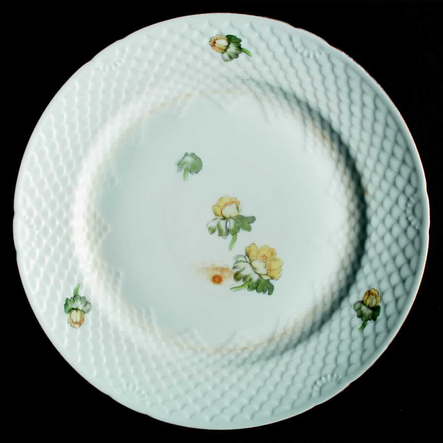 Erantis Dinner Plate by Bing & Grondahl-1